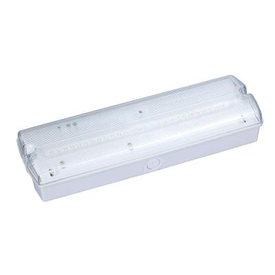 China 60Hz Lithium Ion Battery Emergency Light LED Bulkhead White 4W 150lm Ceiling Mounting for sale