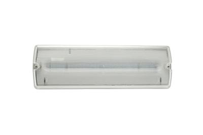 China IP65 1.5-3W Emergency LED Bulkhead Lights AC 220V ABS Material for sale