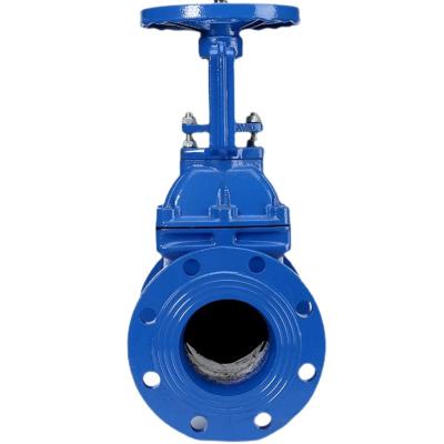 China CUSTOMIZED Port Size Nodular Cast Iron Flange Gate Valve for Sewage and Fire Fighting for sale