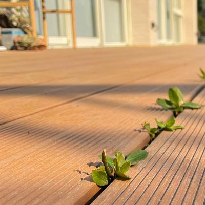 China Residential WPC Decking Panel Wood PVC Composite Decking Panel CE for sale