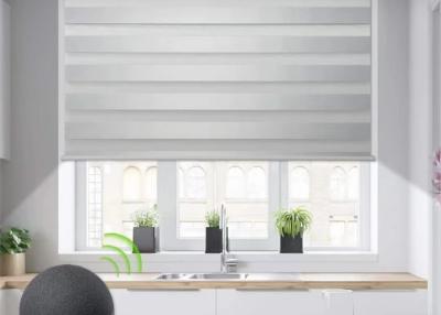 China Manuelles halb blindes Zebra-blinder Vorhang für die Wohnzimmer-flexible Verdunkelung zu verkaufen