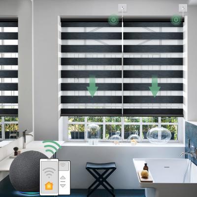 Cina Ciechi di finestra intelligenti astuti di controllo del App motorizzati per il Odm dell'OEM della decorazione in vendita
