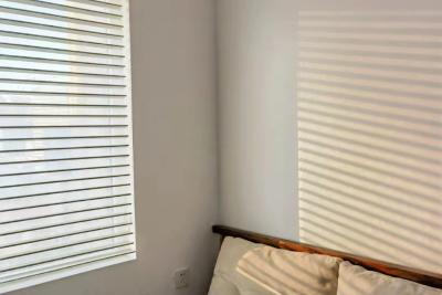 China Double Sheer Zebra Window Blinds Motorized For Office Cafe Hotel for sale