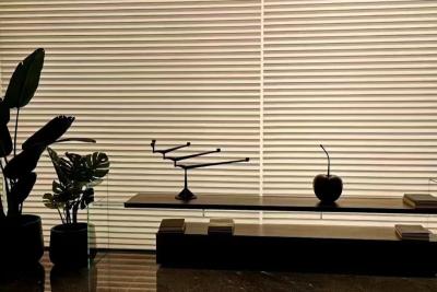 China Dimmable Manual Intelligent Window Blinds Two Layer Yarn Shangri La For Bedroom for sale