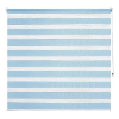 China Mildew Resistant Kitchen Zebra Blinds Blackout Waterproof Pull Bead Manual Pull Curtain for sale