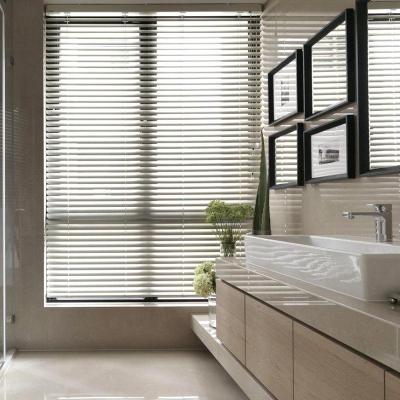 China Manual Operation Venetian Window Blinds UV Protection Outside Mount for sale