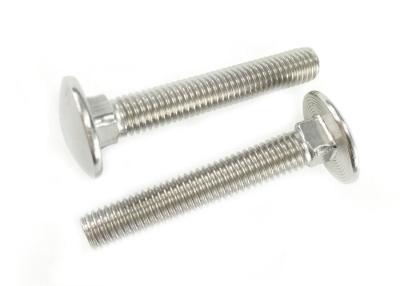 China Polishing Hardware Nuts Bolts Mushroom Head SS M6 Carriage Bolts Square Neck for sale