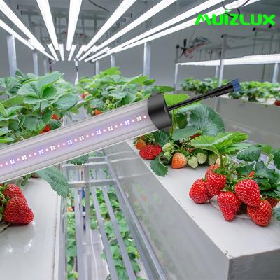 China Strawberry Bar Style LED Grow Lights 70W Led Grow Lamp Energy Efficient for sale
