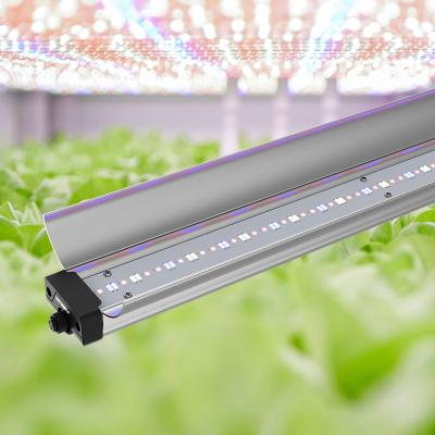 China 120cm Weed LED Grow Light Bar Espectro Completo 60W Alumínio PC Material à venda