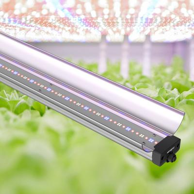 China 150cm 70W Bar Style LED Grow Lights Daisy Chain Vertical Vertical Grow Light Bar for sale