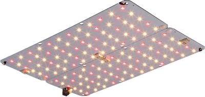 China High Output 80W LED Panel Customized Spectrum Indoor Horticulture Seedling Lighting Full Spectrum Clone Grow Light for sale