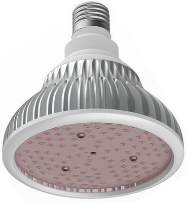 China Muizlux LED Crecer bombilla de luz Eficiencia energética Crecer bombilla 20w en venta