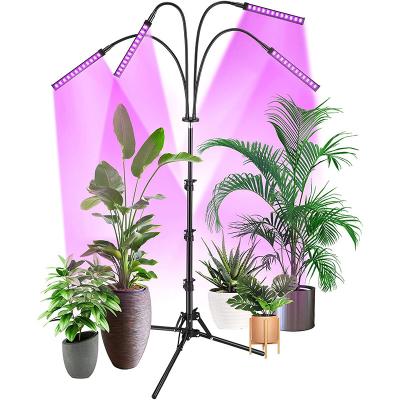 China FCC IP44 RED Blue Floor LED Plant Lamp Floor Grow Lamp For Indoor Plants for sale