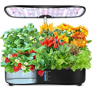 China 24W Hydroponics Small Garden Herbs Growing System 12 pods Leaf Green Plants Smart Garden Seedling 3.8L for sale