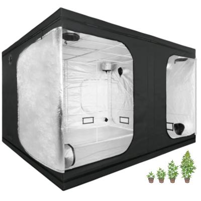 China Medical Plants Grow Tent Complete Kit, High Reflective, With waterproof Floor, 10x10FT, 300X300X200 Grow tent Grow Room for sale