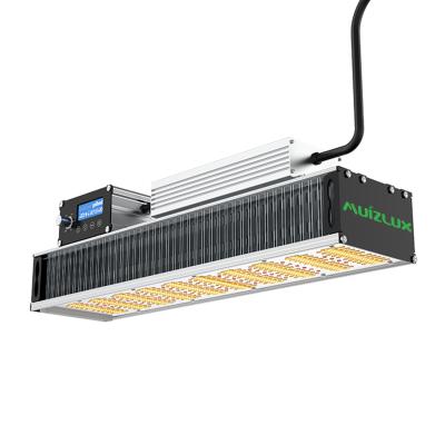 China Lâmpadas de crescimento de LED de alta eficiência de 400w para cultivo de ervas daninhas 600W HPS Substitua Timing Dimmable à venda