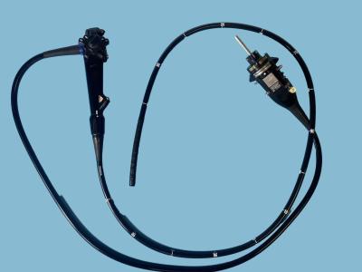 China CF-HQ290L High Definition Flexible Scope Videocolonoscope Working Length 1680mm en venta