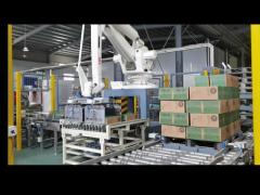 Palletizing and Depalletizing Robot Solutions