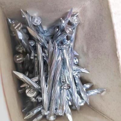 China Building Common Iron Nails P Head Concrete Stainless Steel Nails for sale