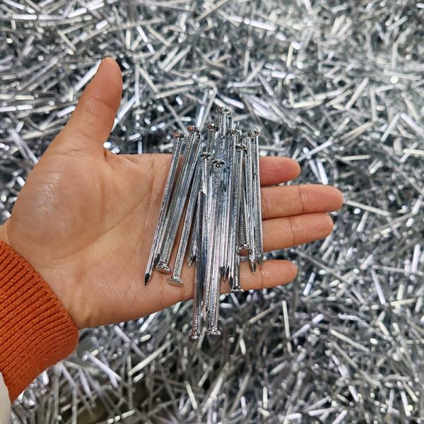 Quality Spiral Twisted Electro Galvanised Nails Galvanized Concrete Steel Nails for sale