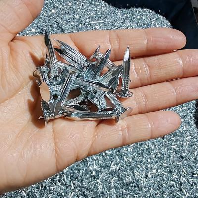 China 25mm Electro Glavanized Steel Concrete Nails With Wide Flat Head for sale