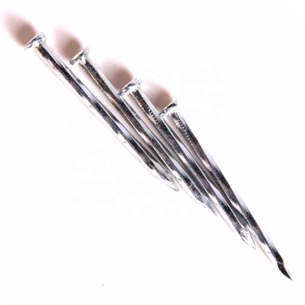 Quality Customized Small Electro Galvanized Nails Steel Concrete Nail for sale