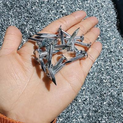 China 1 Inch - 6 Inch Electro Galvanized Nails Building Galvanized Steel Nails for sale