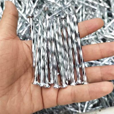 China ODM 2.5 Inch Concrete Steel Nail Electro Galvanized Steel Nails for sale