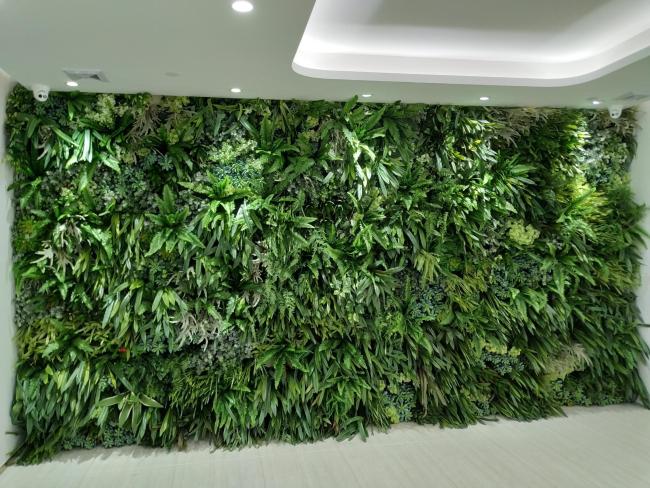 artificial  green wall