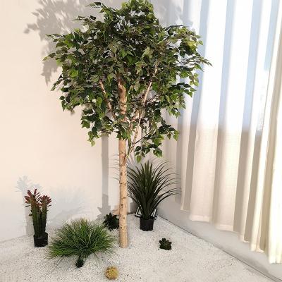 China Anti Aging 12m Height Artificial Bamboo Tree For Garden Landscape Plant for sale