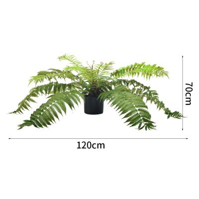 China 70cm Artificial Fern Tree Indoor Decor Living Room Evergreen Tropical Plant Custom Height for sale