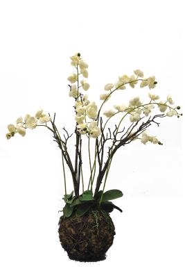 China Decoração interna das orquídeas artificiais usada para o olhar natural feito sob encomenda da cor 117cm da tabela simulado da orquídea europeia à venda