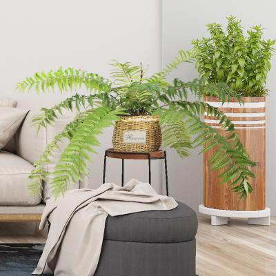 China High Uv Proof Outdoor Artificial Potted Floor Plants Fern Tree For Garden Decoration for sale