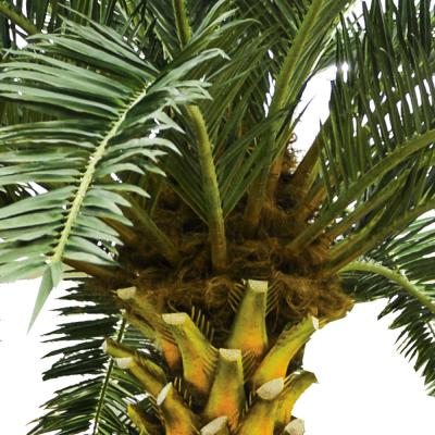 China Big Tropical Artificial Date Palm Tree No Nursing Highly Simulated Plants Outdoor Decor for sale