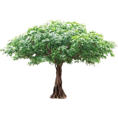 China Living Room Artificial Banyan Tree No Sunlight S Shape Trunk Wide Leaf Cover Plant for sale