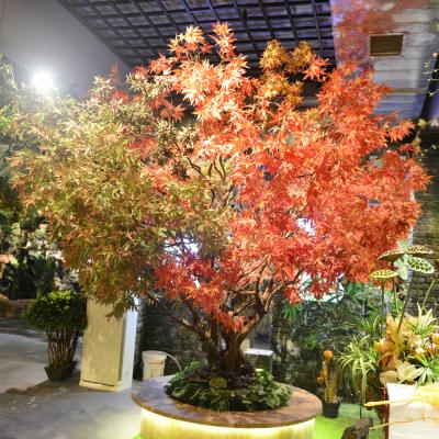 China 3m Artificial Maple Tree Real Looking No Color Fading Vibe Autumn Themed Plant for sale