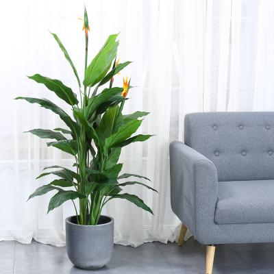 China Artificial Paradise Bird Indoor Decor Plants original design natural look evergreen plant for sale