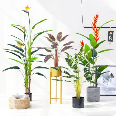 China New released artificial bird of paradise with flower for sale for sale