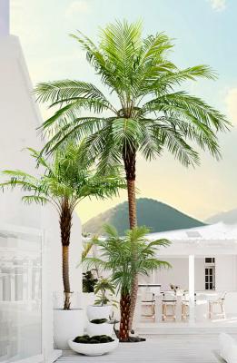 China Nordic Retro Bionic Tropical Phoenix Palm Tree Floor Green Hotel Decor for sale
