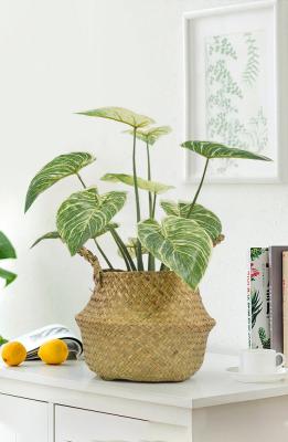 中国 装飾用の小さい項目人工的な鉢植えな床の植物のPhilodendron Birkin 販売のため
