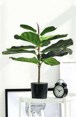 China Harmless Artificial Ficus Lyrata 65cm Indoor Potted Plant For Garden Decor for sale