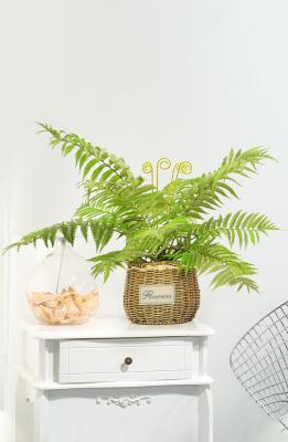 China Mini Artificial Fern Plants For Architectural Landscaping for sale