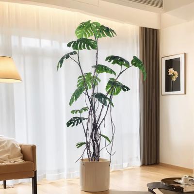 中国 160cm/200cm/240cm モンステラ 人工観葉植物 デリシオサ 密な葉 販売のため