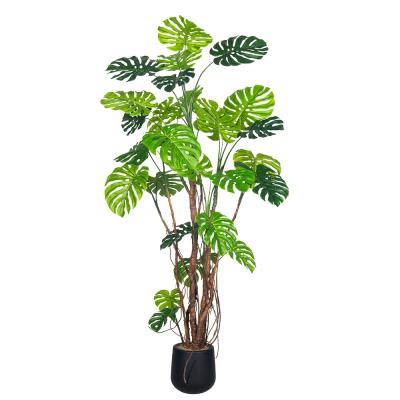 中国 240cm 巨大な人工モンスター植物 リアルな葉で オフィス&ホテルの装飾用 販売のため