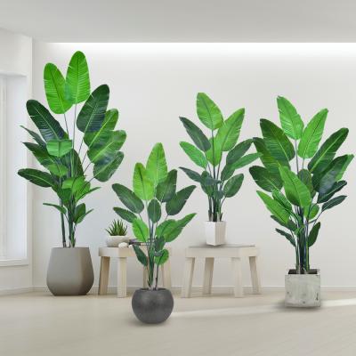 China Faux Traveller's Palm Tree (artificial birds of paradise plant​) - 180cm/210cm Realistic PE Leaf Artificial Plant for Indoor Outdoor Decor for sale