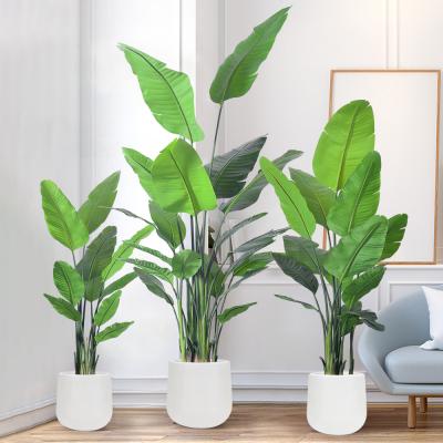 China Traveller Ravenala Pot Planted Plastic Tree Wholesale Best Artificial Bird Of Paradise Plant for sale