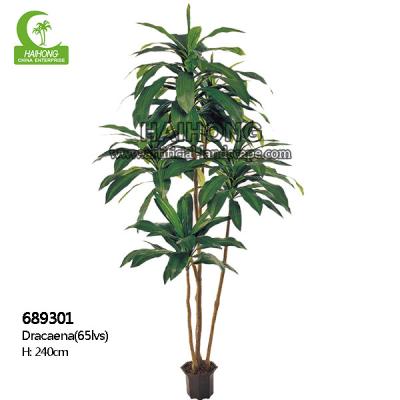 Chine Dracaena artificiel de haute qualité de bonsaïs d'imitation avec de vraies feuilles de contact en vente chaude à vendre