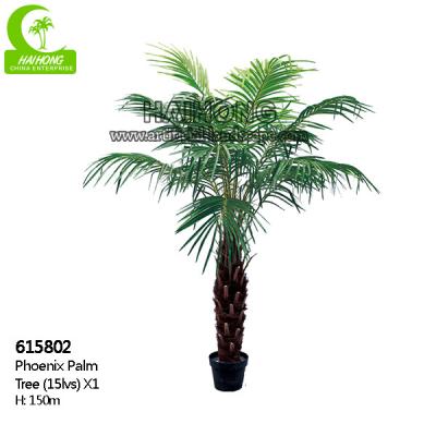 China Fiberglass Trunk H150cm Large Artificial Palm Trees For Outside for sale