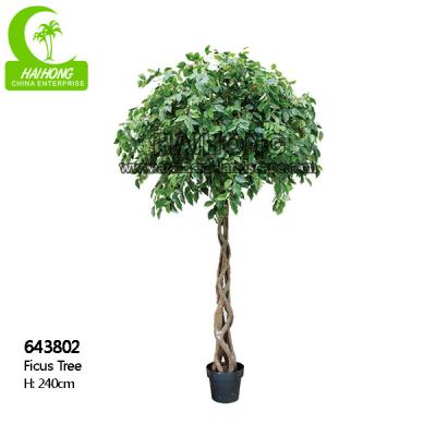 China Fire Retardant Aesthetic Faux Ficus Plant , 8ft Artificial Palm Tree In Green for sale