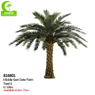 China Supplier Height 500cm Artificial Date Palm Tree High Quality Outdoor Tropical Tree for sale